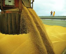 Porto de Paranaguá embarca volume histórico de soja