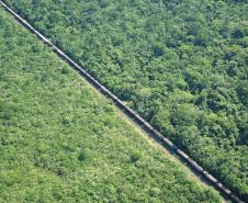 Descarga de grãos via ferrovia quase dobra em Paranaguá