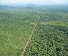 Descarga de grãos via ferrovia quase dobra em Paranaguá