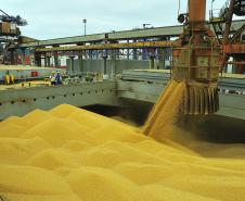 Porto de Paranaguá bate novo recorde de movimentação