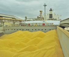 A três meses do final do ano, Porto de Paranaguá já bateu recorde anual de exportação de soja