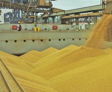 A três meses do final do ano, Porto de Paranaguá já bateu recorde anual de exportação de soja