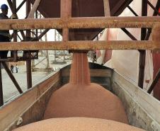 Investimentos em modernização reduziram 72,3% multas do setor de fertilizantes