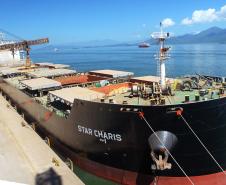 Porto de Paranaguá registra maior movimentação anual de cargas