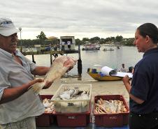 Monitoramento de pesca da Appa contabiliza 400 toneladas de pescados desembarcados em 2017
