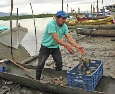 Monitoramento de pesca da Appa contabiliza 400 toneladas de pescados desembarcados em 2017