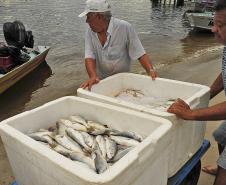 Monitoramento de pesca da Appa contabiliza 400 toneladas de pescados desembarcados em 2017