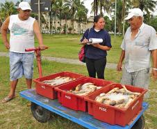 Monitoramento de pesca da Appa contabiliza 400 toneladas de pescados desembarcados em 2017
