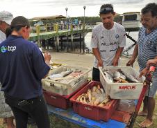 Monitoramento de pesca da Appa contabiliza 400 toneladas de pescados desembarcados em 2017