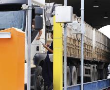 Trabalhadores que acessam o cais do Porto de Paranaguá precisam estar vacinados contra febre amarela
