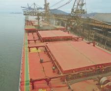 Porto de Paranaguá recebe o maior navio graneleiro da história
