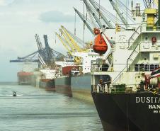 Porto de Paranaguá completa 83 anos com seu melhor desempenho
