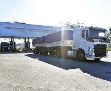 Após 9 dias de paralisação, caminhões voltam a descarregar no Porto de Paranaguá