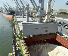 Foram descarregadas 41.305 mil toneladas de cevada e fertilizante entre às 7h da manhã de 19 de junho e às 7h do dia 20.