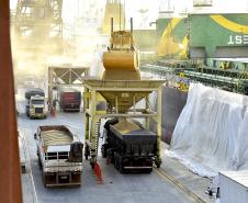 Foram descarregadas 41.305 mil toneladas de cevada e fertilizante entre às 7h da manhã de 19 de junho e às 7h do dia 20.
