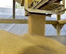 Foram descarregadas 41.305 mil toneladas de cevada e fertilizante entre às 7h da manhã de 19 de junho e às 7h do dia 20.