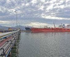 Desde janeiro até outubro, o porto exportou 19,2 milhões de toneladas destes produtos. A quantidade é 13% maior que o alcançado em todo o ano passado, quando foram 17 milhões de toneladas. 