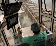 19% das exportações da soja brasileira passa pelos Portos do Paraná 