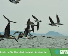 Portos destacam qualidade do ar na Semana do Meio Ambiente