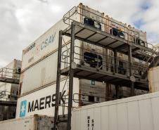 De janeiro a maio, as vendas de frango congelado brasileiro somaram 1,6 milhão de toneladas. Deste total, 637,6 mil toneladas foram movimentadas no porto paranaense. Estado se mantém como o principal exportador do produto nacional.