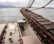 Em junho, os Portos de Paranaguá e Antonina movimentaram quase 5,3 milhões de toneladas de carga. O volume é 15% maior que o registrado no mesmo mês de 2018, quando foram 4,6 milhões de toneladas. Os números foram divulgados nesta terça-feira (9) pela empresa pública Portos do Paraná.
