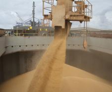 De janeiro até agora, o Porto de Paranaguá já exportou 5,27 milhões toneladas de soja. O volume é 9% superior ao registrado no mesmo período de 2010. Considerando a exportação de todos os granéis sólidos, o aumento registrado é de 2% no comparativo com o ano anterior, somando 12,63 milhões de toneladas de produtos.