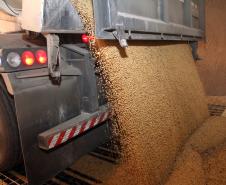 A missão formada por auditores do Serviço de Alimentos e Veterinária da entidade está conhecendo o sistema brasileiro de recebimento, classificação, armazenagem e exportação de matérias primas para uso na alimentação animal, em especial soja e milho. Com as impressões coletadas, o grupo vai produzir um relatório que será entregue ao Ministério da Agricultura.