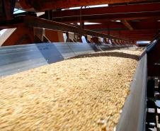 A soja que é depositada no silo público chega através de correias elevadoras. O óleo mineral é inodoro, incolor e não afeta as características da soja. Com ele, o grão não gruda nas paredes internas do silo, minimizando desperdícios e reduzindo a necessidade de limpeza do silão. 