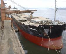 A receita cambial gerada pelas exportações de mercadorias também já atingiu recorde histórico. Até novembro, foram quase US$ 16 bilhões, valor 14% superior ao recorde de receita registrada em 2008 pela Appa. 
