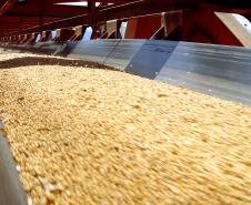 Considerando os produtos separadamente, Paranaguá é líder na exportação do farelo de soja e no óleo de soja. De farelo, até novembro, foram exportados 4,2 milhões de toneladas, quase o dobro do que é movimentado pelo porto do Rio Grande, que ocupa o segundo lugar da lista com 2,8 milhões de toneladas exportadas. Considerando o óleo de soja, Paranaguá exportou até novembro 732,8 mil toneladas do produto, o que corresponde 46% do volume nacional exportado.