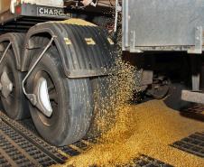 Já na soja em grão, o porto ainda ocupa a vice-liderança nacional na exportação do produto. Foram 6,6 milhões de toneladas exportadas, contra 8,6 milhões de toneladas exportadas por Santos. No entanto, o volume do grão exportado por Paranaguá apresentou alta de 27% em relação ao ano passado, batendo o recorde de exportação registrado em 2003, quando foram exportadas 5,7 milhões de toneladas do produto pelo Porto. 