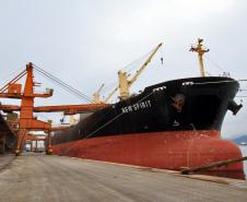 Considerando os produtos separadamente, Paranaguá é líder na exportação do farelo de soja e no óleo de soja. De farelo, até novembro, foram exportados 4,2 milhões de toneladas, quase o dobro do que é movimentado pelo porto do Rio Grande, que ocupa o segundo lugar da lista com 2,8 milhões de toneladas exportadas. Considerando o óleo de soja, Paranaguá exportou até novembro 732,8 mil toneladas do produto, o que corresponde 46% do volume nacional exportado.