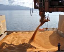 O porto de Paranaguá lidera o ranking nacional entre os portos que mais exportam produtos do complexo soja (soja, farelo e óleo). De janeiro a novembro, foram 11,6 milhões de toneladas de produtos exportados, deixando para trás portos como Santos, Rio Grande e São Francisco do Sul. O volume movimentado é 7% superior ao registrado em 2010 e corresponde a 25% do volume nacional exportado.  Os dados são do Ministério do Desenvolvimento, Indústria e Comércio (MDIC). 