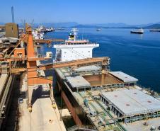 O Porto de Paranaguá readequou a operação do corredor de exportação para atender os produtores de trigo paranaenses neste final de ano. Numa primeira etapa, serão exportadas 60 mil toneladas de trigo da Associação das Empresas Cerealistas do Estado do Paraná (Acepar) e, na seqüência já estão previstas outras 40 mil toneladas de trigo a serem exportadas de outra cooperativa paranaense.
