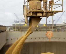 Para 2012, há ainda a expectativa de ampliar a exportação de soja do Paraguai pelo Porto. Só este ano foram 100 mil toneladas exportadas e a expectativa é que, em 2012, cheguem a ser exportadas por Paranaguá até um milhão de toneladas de soja do Paraguai. Há pelo menos oito anos o Porto não escoava grãos do país vizinho por conta de dificuldades impostas aos exportadores paraguaios e políticas públicas que inviabilizavam os negócios.