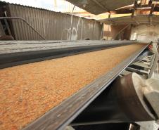 Os portos de Paranaguá e Antonina fecharam o ano de 2011 com 41 milhões de toneladas de cargas movimentadas. O volume é o maior registrado na história dos portos e, no comparativo com o ano de 2010, registrou um crescimento de 8%. Destaque na movimentação foi a exportação de soja. Em 2011 foram 7 milhões de toneladas exportadas, volume 30% ao superior ao registrado em 2010. 