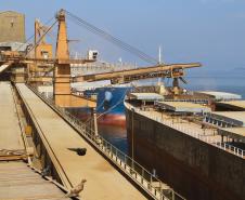 Um conjunto de ações desenvolvidas pela Administração dos Porto de Paranaguá e Antonina (Appa) reduziu em aproximadamente 80% a população de pombos na área portuária de Paranaguá nos últimos seis meses. A proliferação desses animais era fonte de problemas para as operações do terminal, devido aos riscos de contaminação de produtos e à transmissão de doenças ao homem. 