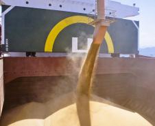 As exportações de granéis pelo Corredor de Exportador do Porto de Paranaguá registraram um aumento de 40% no primeiro bimestre deste ano em comparação com o mesmo período do ano passado. Entre janeiro e fevereiro, foram exportados pelo Porto de Paranaguá dois milhões de toneladas de soja, farelo de soja, trigo e açúcar. 