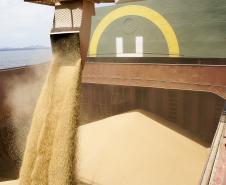 Já no Paraná, de onde vem cerca de 50 % da soja exportada por Paranaguá, mesmo com a quebra de safra na casa dos 23%, o estado terá a quarta melhor safra de grãos da história do Estado, de acordo com dados do Departamento de Economia Rural (Deral) da Secretaria Estadual de Agricultura e de Abastecimento (Seab).