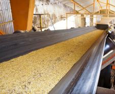 Considerando apenas a carga de soja, a movimentação no bimestre foi de 780 mil toneladas, volume quatro vezes superior ao registrado em 2011. As exportações de farelo, que também totalizaram 780 mil toneladas, representaram alta de 50% em relação ao mesmo período do ano passado. 