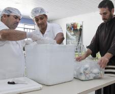 A Usina de Leite mantida pela Administração dos Portos de Porto de Paranaguá e Antonina, entregou 40 mil pacotes de 250 ml de leite de soja para entidades que atendem famílias carentes do município no segundo semestre do ano passado. O projeto atende 2.400 pessoas de 17 entidades por mês, que recebem o leite de soja para complementação alimentar.

