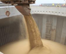 O Corredor de Exportação do Porto de Paranaguá, exportou, de janeiro até agora, 3,4 milhões de toneladas de grãos. O volume é 37% superior ao registrado no ano passado. O embarque diário realizado no corredor tem sido de 65 mil toneladas, em média. 