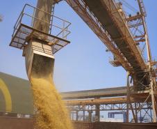 Outro destaque na movimentação do trimestre é a soja, que atingiu alta de 144% nas exportações, totalizando 1,9 milhão de toneladas. O farelo de soja também apresentou bom resultado, totalizando 1,1 milhão de toneladas exportadas, o que representa uma alta de 50% em relação a 2011. 