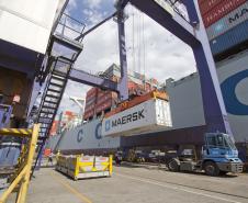 Com a modernização dos equipamentos, a expectativa é passar de uma média de 800 mil TEUs/ano (unidade equivalente a um contêiner de 20 pés), movimentados em 2011, para 1,2 milhão de contêineres, ainda em 2012. 