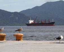 Teve início nesta sexta-feira (22) o monitoramento ambiental da área a ser dragada no canal de acesso aos portos de Paranaguá e Antonina. Ao todo, são cerca de 80 pontos de coleta para monitorar a qualidade da água, qualidade do sedimento a ser dragado e das comunidades planctônicas (fito, zoo e ictioplâncton). 

