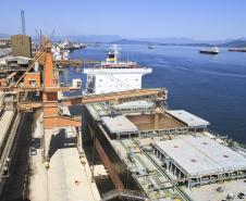 Com mais de cinco milhões de toneladas do grão, a exportação de janeiro a junho de 2012 superou o melhor número do semestre registrado até então em 2003, com 4,1 milhões de toneladas