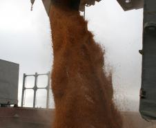 A colheita da segunda safra de milho começou só agora, mas o volume exportado este ano, já surpreende. Segundo dados do departamento de estatística da Administração dos Portos de Paranaguá e Antonina (Appa), no primeiro semestre deste ano, a exportação da commodity pelo Porto de Paranaguá foi o praticamente o dobro em comparação ao mesmo período de 2011. Em 2012, já são mais 868 mil toneladas exportadas, contra 440 mil toneladas no mesmo período do ano passado. 