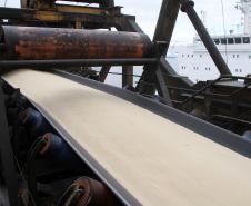 Agosto – Considerando apenas o último mês, na exportação o que se destaca é o volume de açúcar que foi 41% maior que o registrado em agosto de 2011. Este ano, no mês, foram quase 675 mil toneladas exportadas pelos portos paranaenses.
