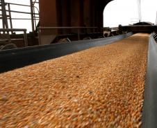 O principal destaque, entre os produtos exportados pelo Porto de Paranaguá, é o milho. A movimentação do grão, este ano, foi 98% maior que a registrada no ano passado. Nos últimos onze meses, foram mais de 4,5 milhões de toneladas de milho exportadas. No mesmo período, em 2011, foram 2,3 milhões.