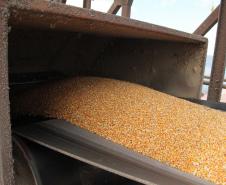 “Pelo segundo ano consecutivo, conseguimos quebrar o recorde em produtividade